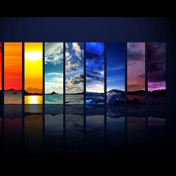 Tim Tu Photo 23