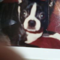 Judy Friend Photo 4