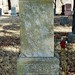 William Blankenship Photo 41