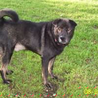 Donna Hooper Photo 32