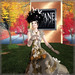 Donna Fall Photo 5