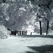 Daniel Holcomb Photo 15