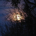 Dawn Hebert Photo 35