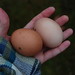 Andrea Raines Photo 15