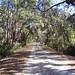Jake Allman Photo 11