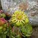 Joseph Hoppe Photo 16