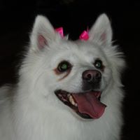 Odette Taylor Photo 8