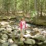 Susan Simpson Photo 42