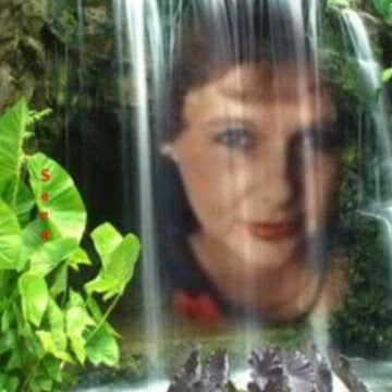 Sandra Finley Photo 3