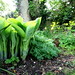 Frances May Photo 13