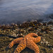 Johnathan Beach Photo 10