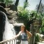 Debbie Harp Photo 17