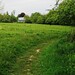 John Ha Photo 18