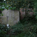 Rick Bender Photo 34