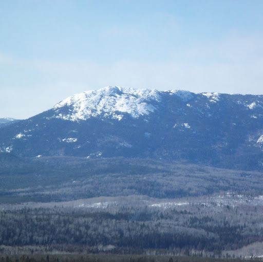 Steve Morin Photo 11