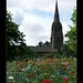 Matthew Meadows Photo 17
