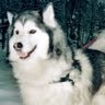 Denise Walker Photo 33