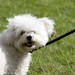 Sue Mayhew Photo 10