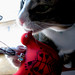 Lisa Bird Photo 15