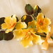 Julie Rose Photo 12
