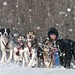 Gary Creamer Photo 12