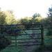 Elizabeth Randle Photo 14