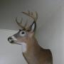 Rick Paul Photo 25