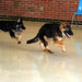Jack Shepherd Photo 37
