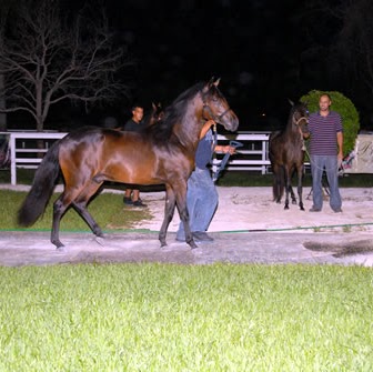 Moreno Rodriguez Photo 1