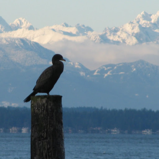 Kevin Mattson Photo 4