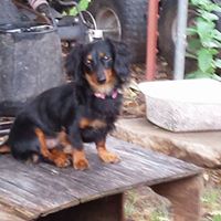 Connie Best Photo 27