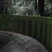 Gail Moss Photo 23