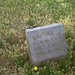 Samuel Stewart Photo 46