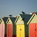 Stephanie Crow Photo 28