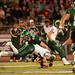Vaughn Rice Photo 13