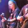 Mark Gardner Photo 36