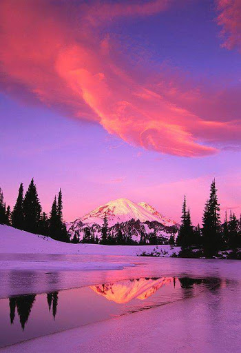 Deborah Terrill Photo 19