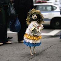 Judy Sandoval Photo 8