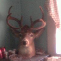 Timothy Newland Photo 5