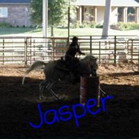 Michelle Chartier Photo 7