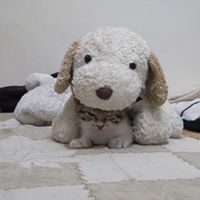 Ellen Tung Photo 3