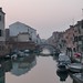 Pat Amico Photo 6