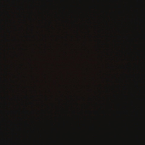 Nicholas Grimes Photo 8