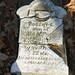 Robert Puckett Photo 17