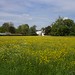 Charles Downs Photo 23