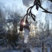 Robert Pennington Photo 18