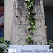 Alexander Wong Photo 14