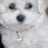 Carol Hatcher Photo 17