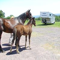 Carol Dulaney Photo 7