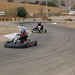 Sheila Stratton Photo 15